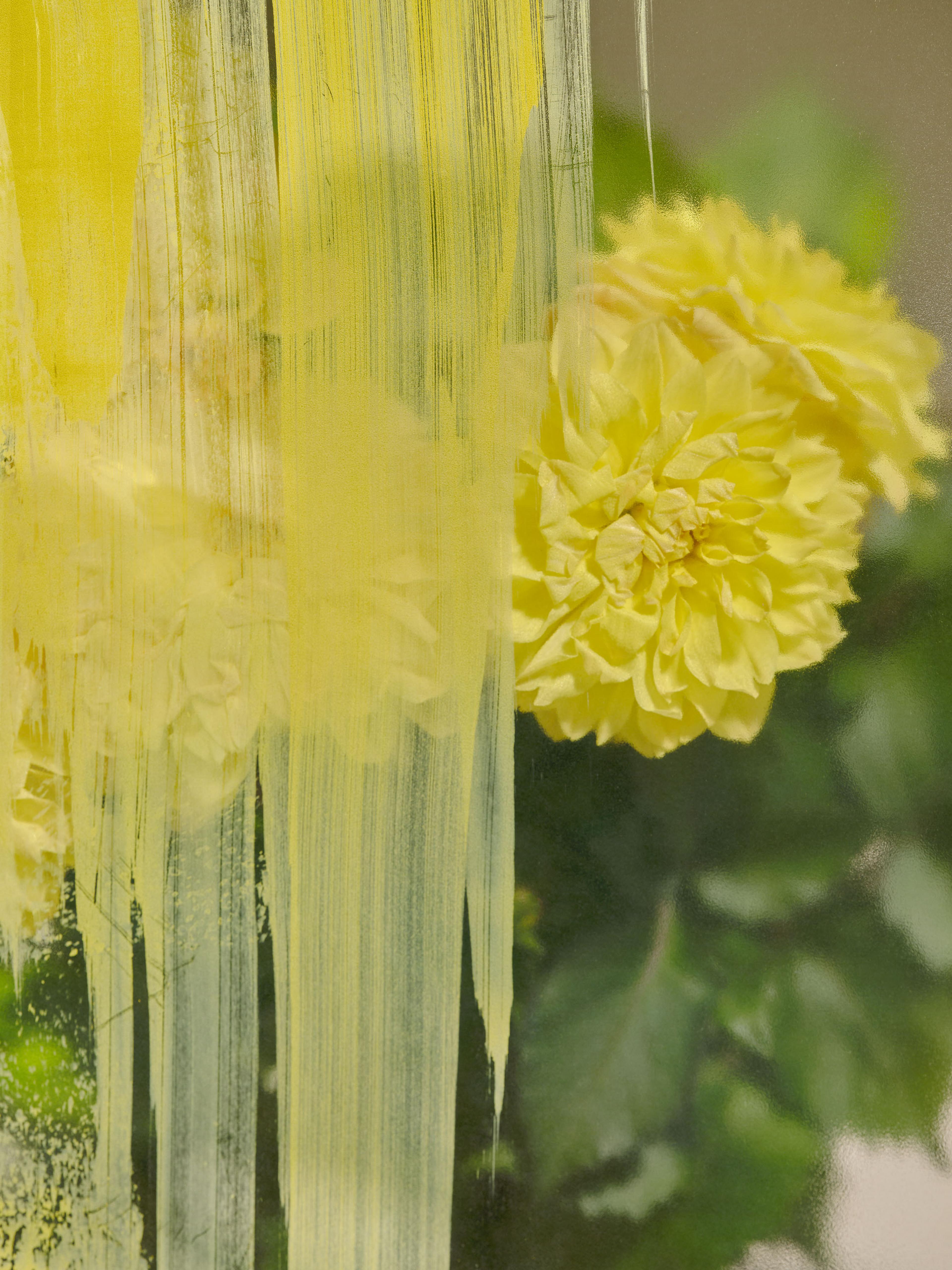 Anne-Sophie Soudoplatoff