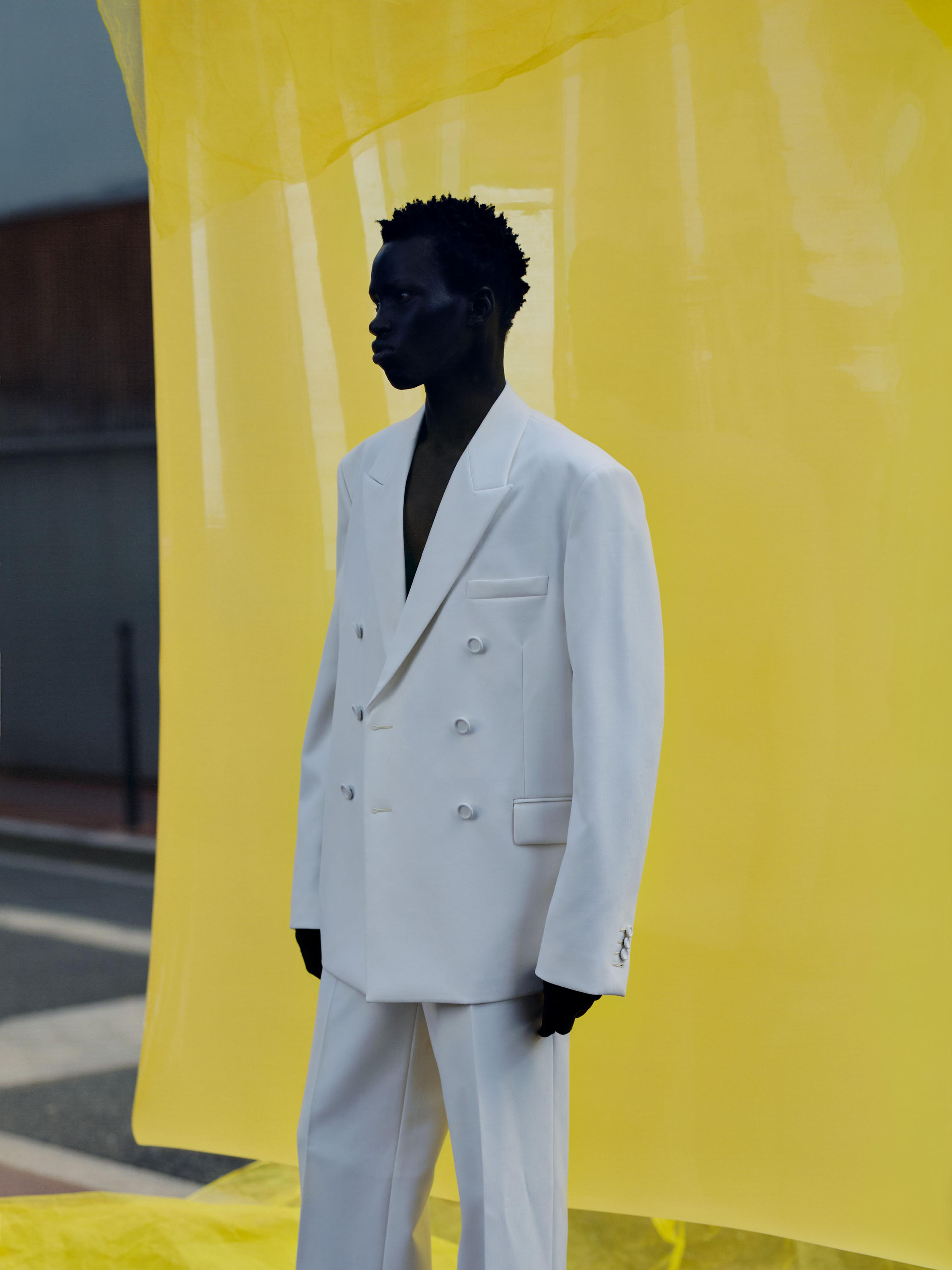 Anne-Sophie Soudoplatoff