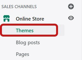 Shopify themes option