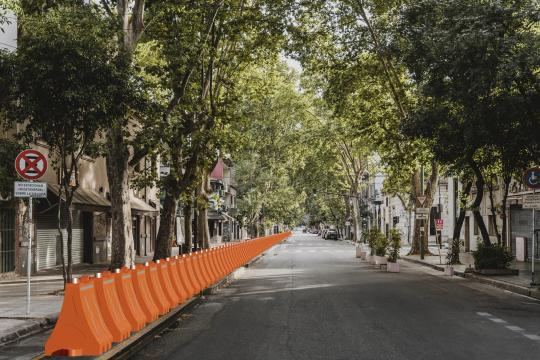 Fila de Barreras Ray naranja separando la ciclovía del carril de autos en una calle arbolada
