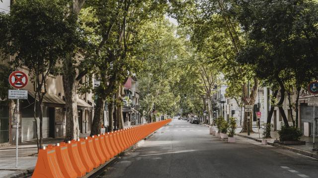 Fila de Barreras Ray naranja separando la ciclovía del carril de autos en una calle arbolada