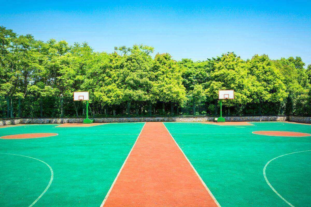 cómo se llama la pintura para canchas deportivas