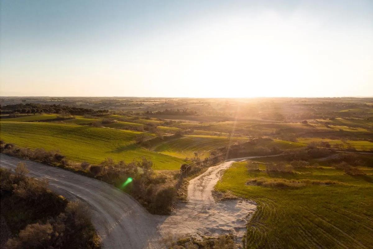 Vista aérea de un camino rural de terracería entre campos verdes al atardecer