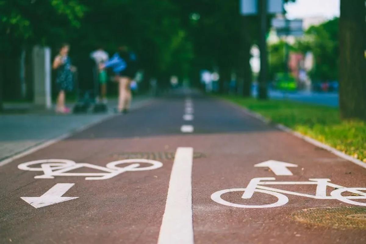 Ciclovía de pavimento rojo con bicicletas y flechas blancas pintadas en ambos sentidos, bordeada de árboles