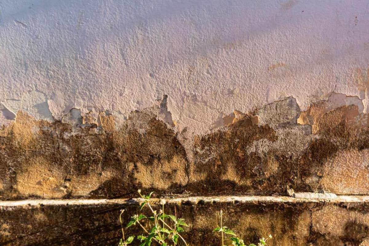 humedad profunda en una pared exterior