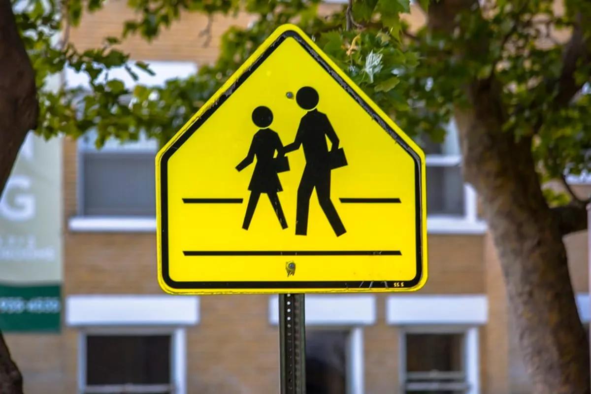 Señal amarilla de cruce escolar con la silueta de dos estudiantes, en un poste junto a un árbol