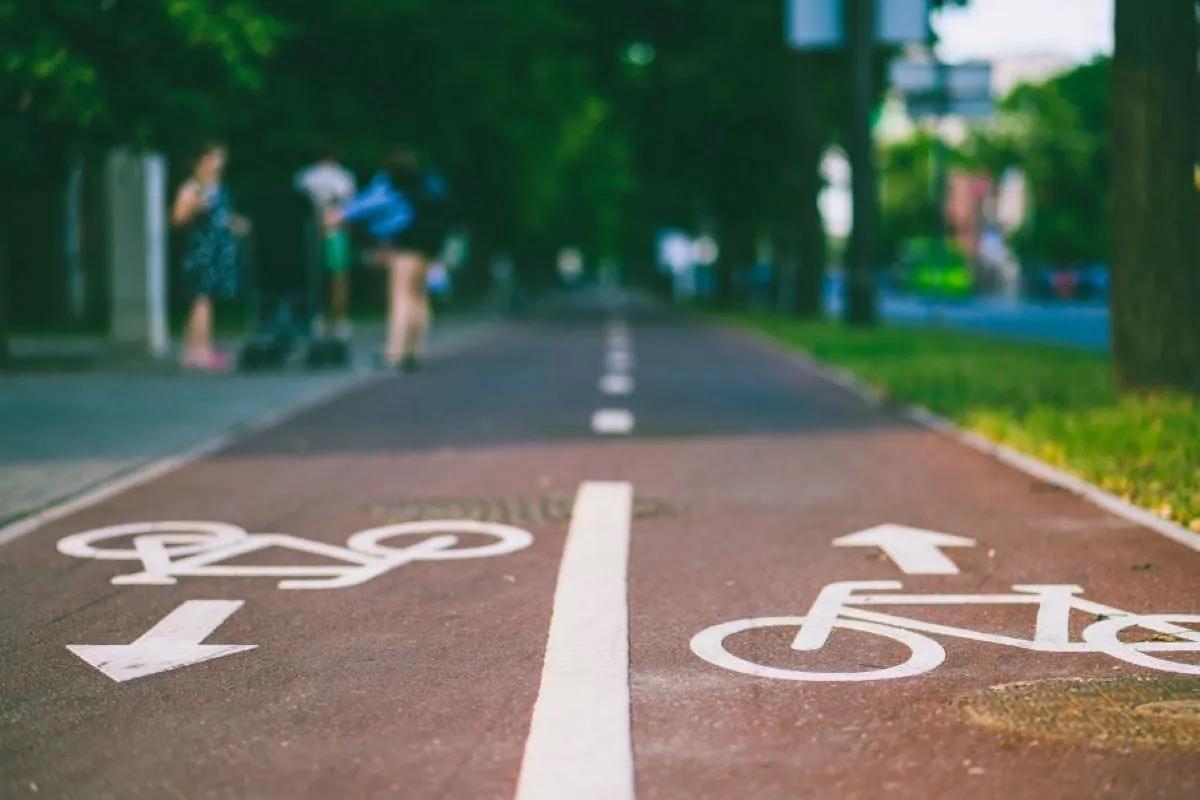 Ciclovía de pavimento rojo con bicicletas y flechas blancas pintadas en ambos sentidos, bordeada de árboles