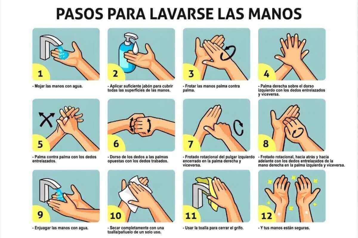 11 pasos