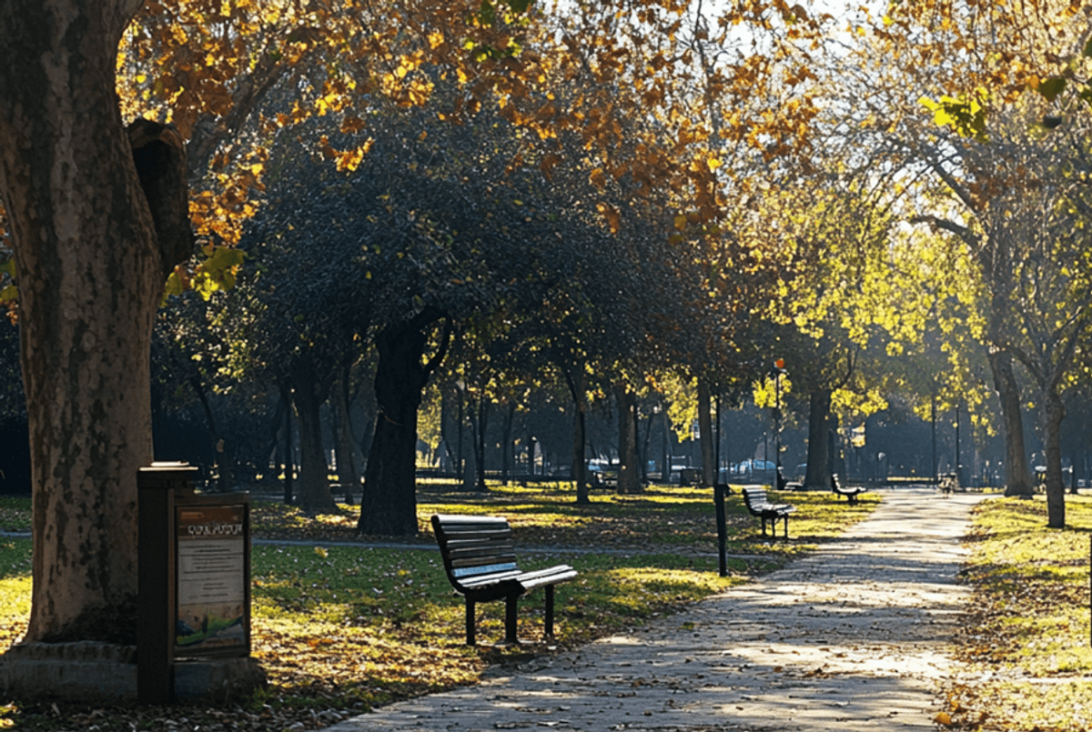 parque publico