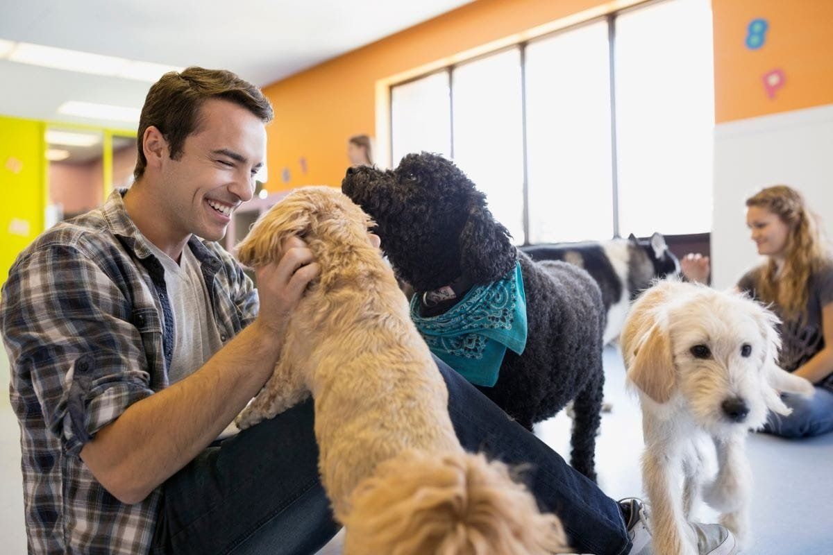 3 tipos de losetas ideales para guarderías caninas