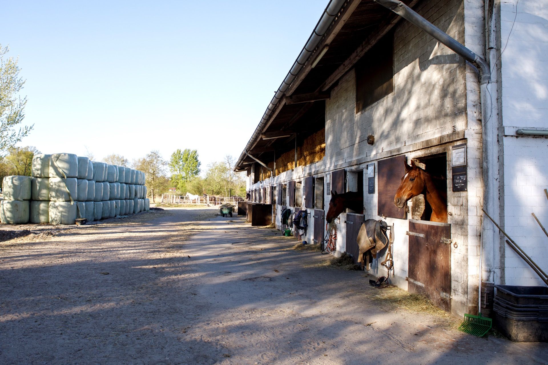 Stallgebäude