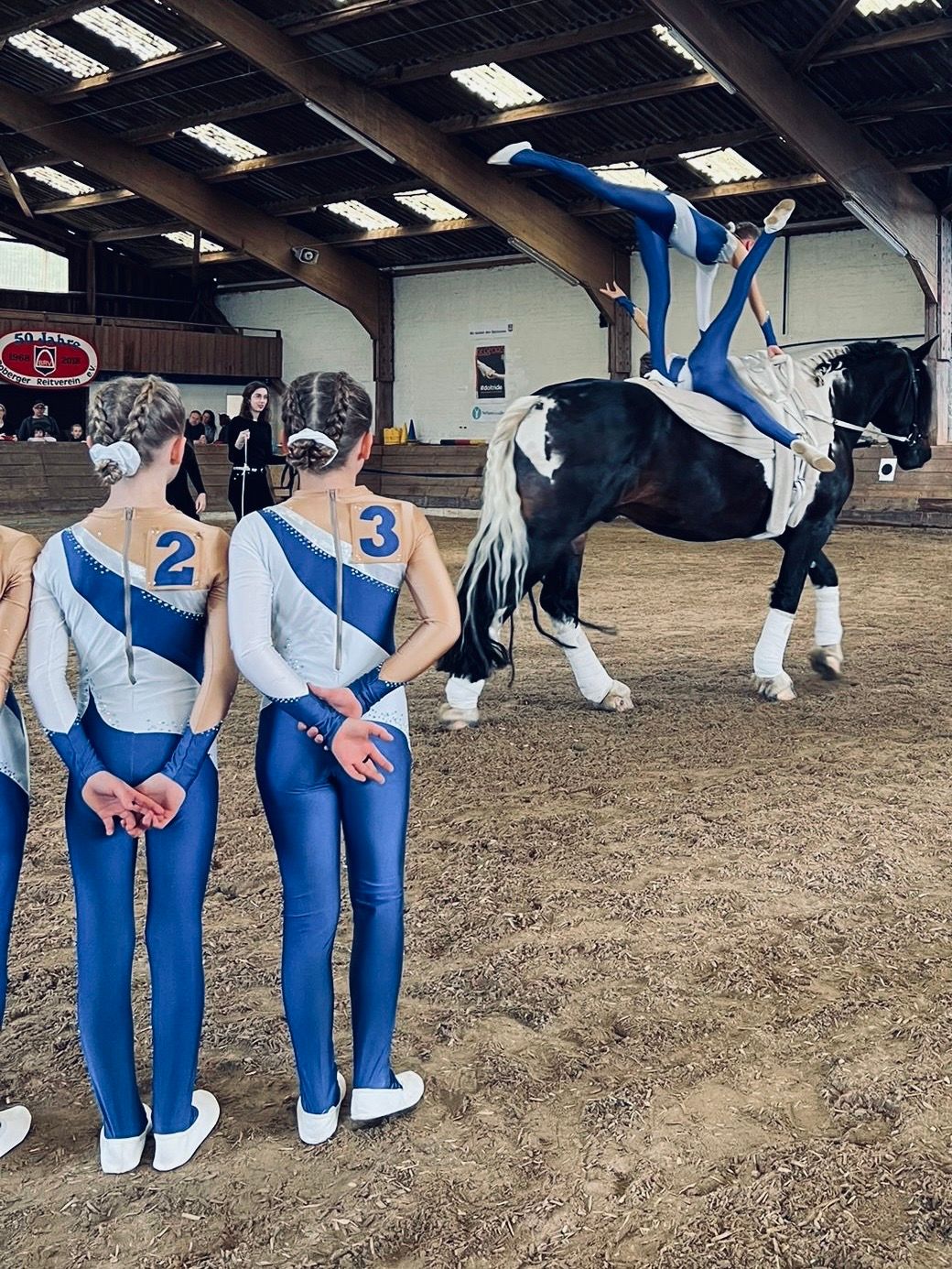 Voltigieren im Boberger Reitverein