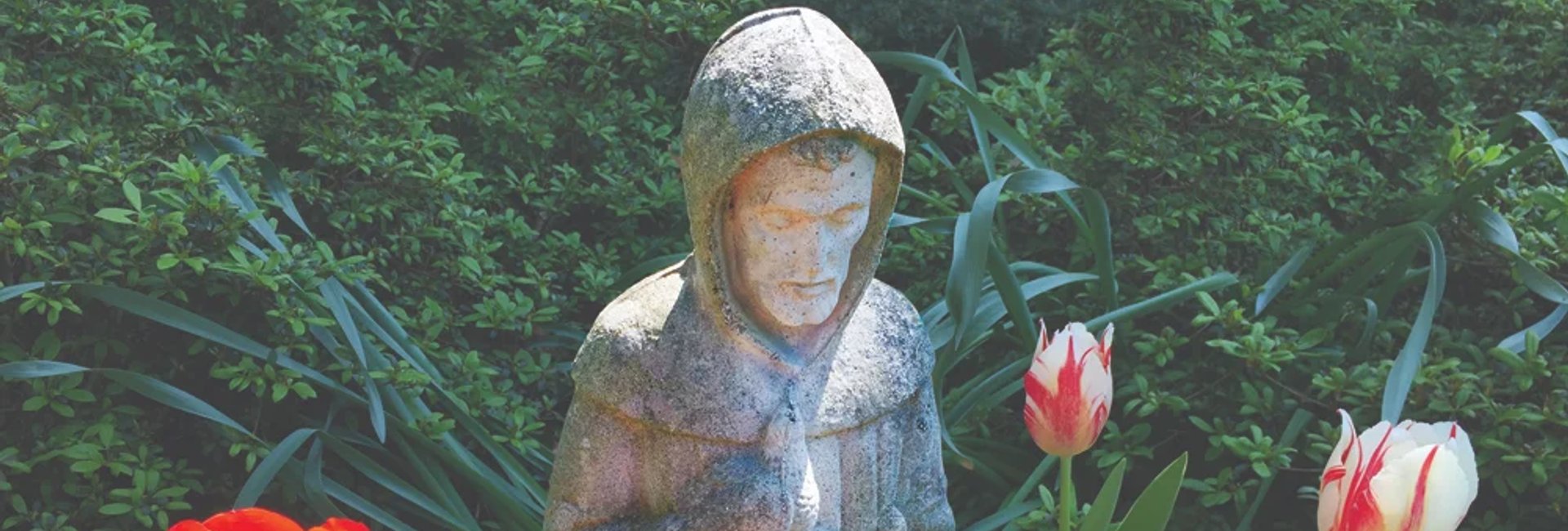 St. Francis statue by flowers