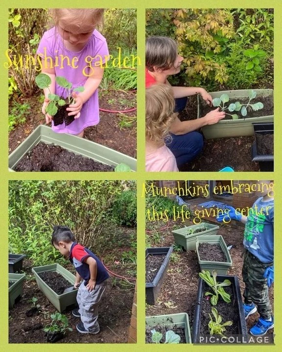 Day School Students harvesting