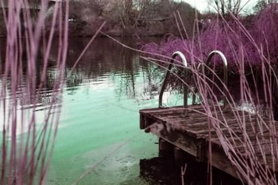 Verweile an der Glitzerkante. Kleiner Steg zum Wasser umgeben mit Schilf.