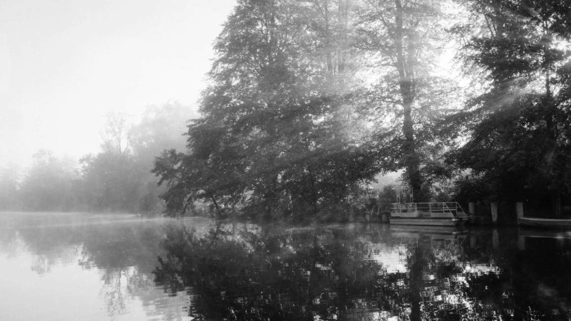 Fotoserie: Ein nebliger Morgen an der Wakenitz