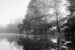 Ein Morgen im Nebel an der Wakenitz aufgenommen auf Ilford FP4+ Film. Dichter Nebel hüllt die Landschaft in eine mystische Kulisse. Sanfte, verschwommene Konturen von Bäumen und Wasserflächen schaffen eine ruhige, verträumte Stimmung, durchbrochen von Sonnenstrahlen.