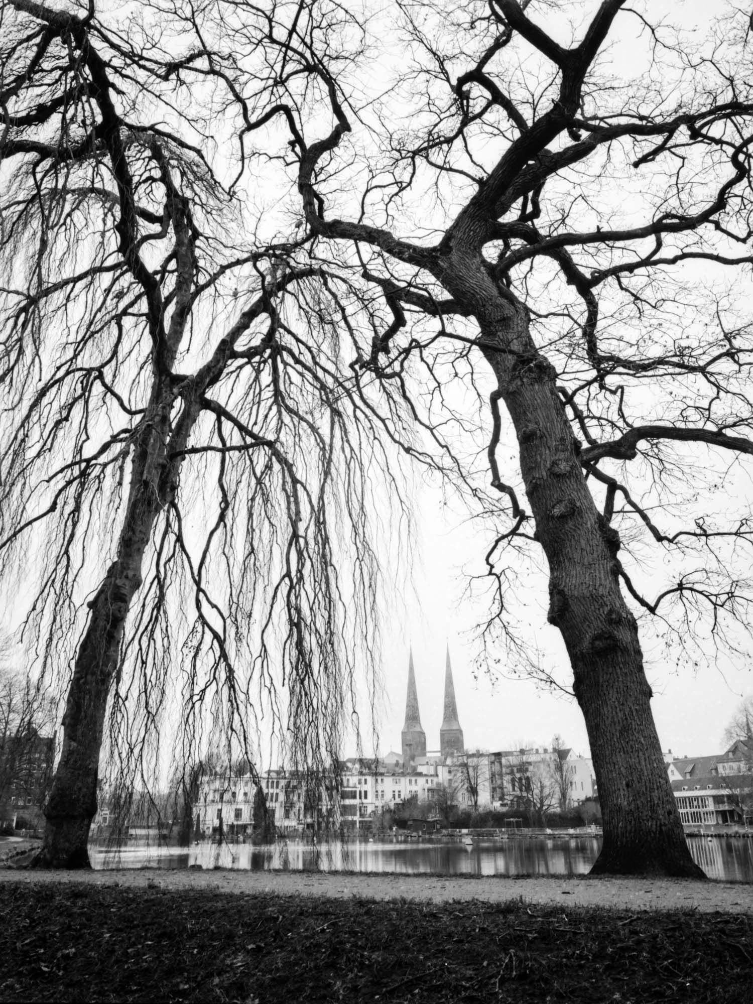 Lübeck Cathedral surrounded by trees.