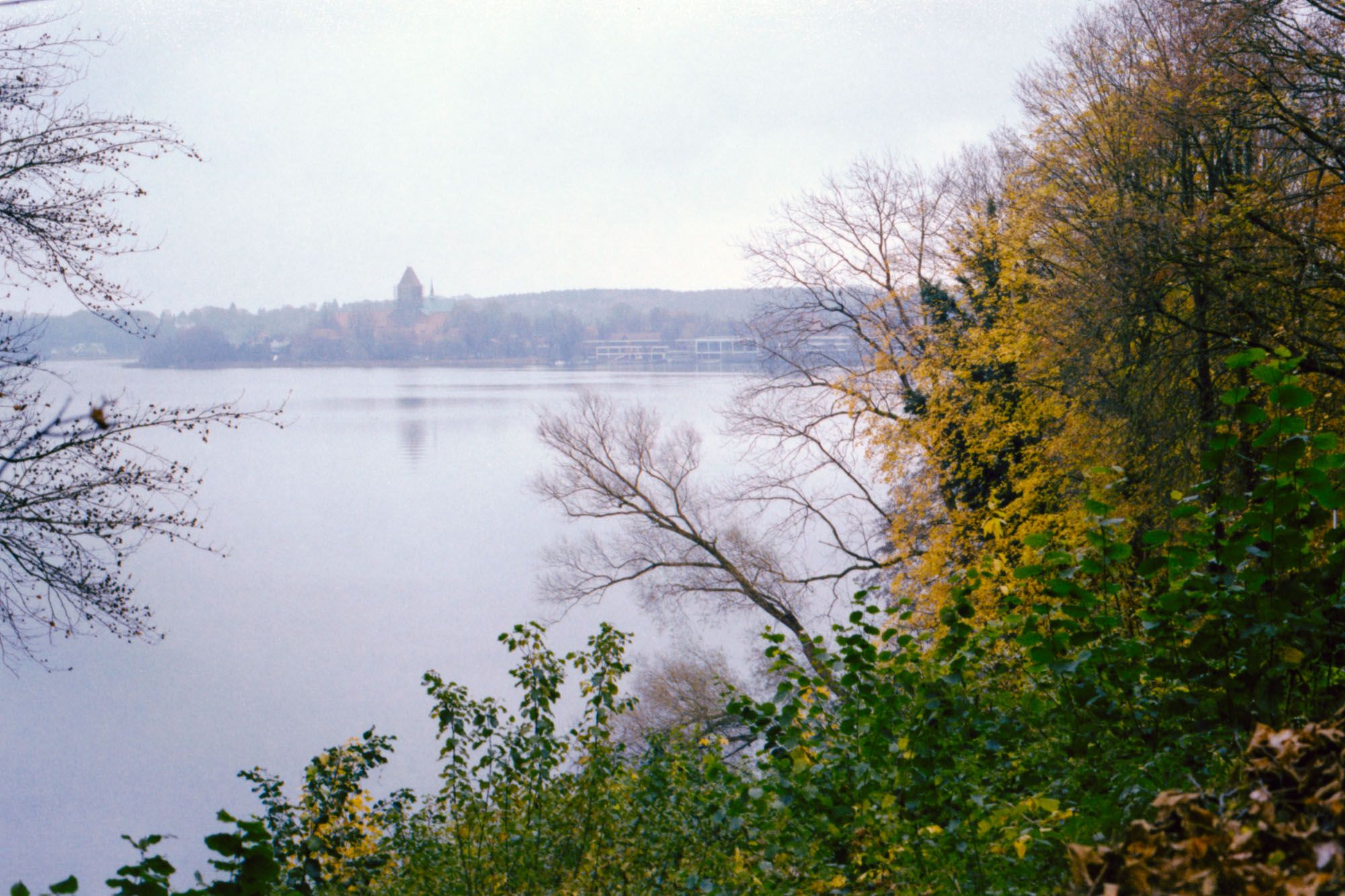 Lake with trees in the foreground.