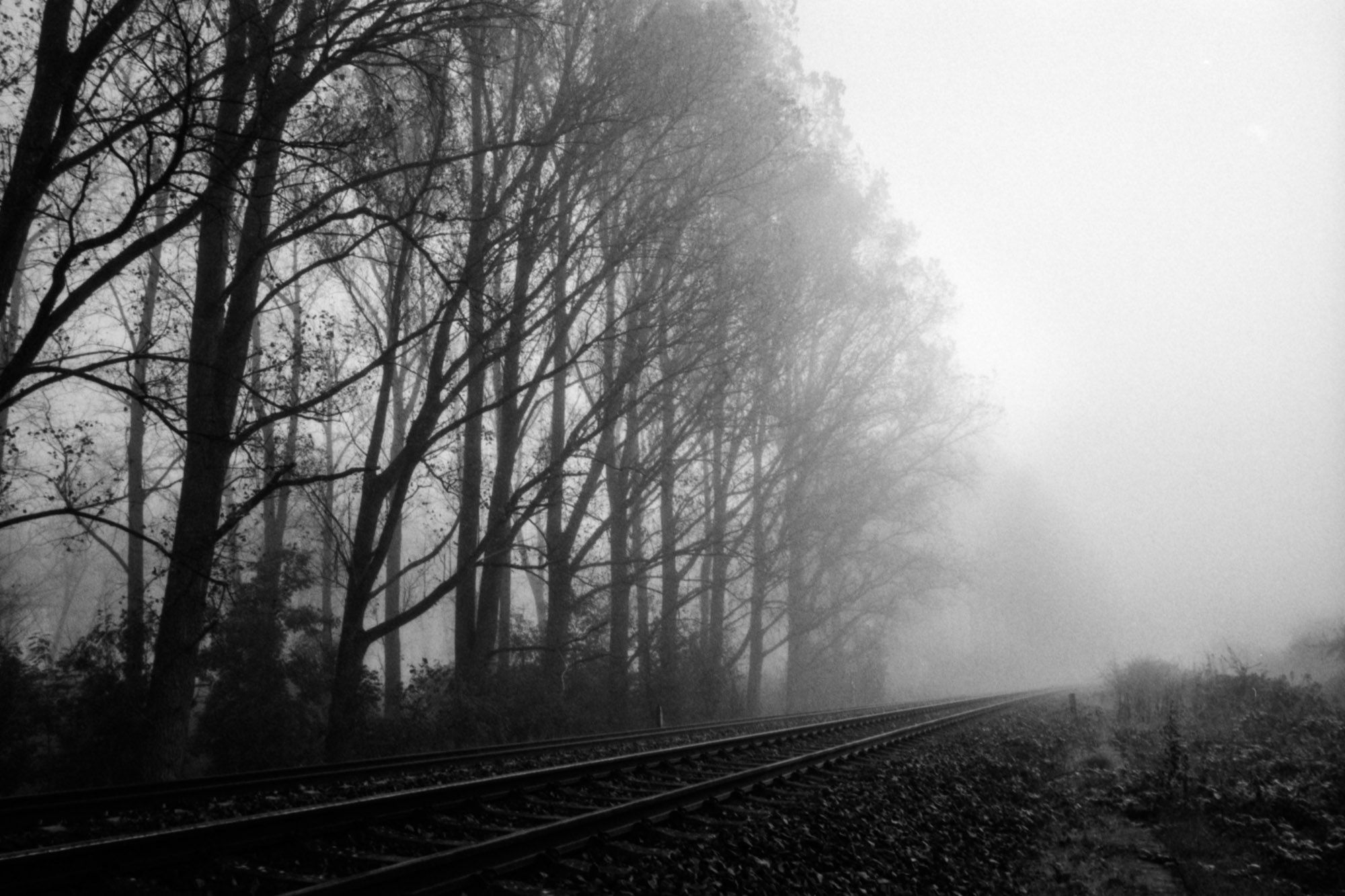 Black and white image of railway tracks leading into the fog.