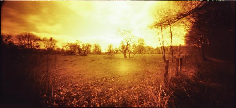 Exposure time: 10 seconds (F135). Measured time: 1/50 - 1/30s at F8. Solitary tree.