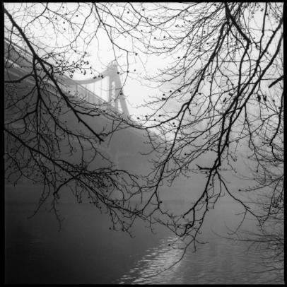 Bridge in the fog with some trees in the fore ground.