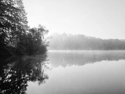Wakenitz. Analog bw picture of the Wakenitz in the fog. Taken on Ilford FP4+ medium format film.