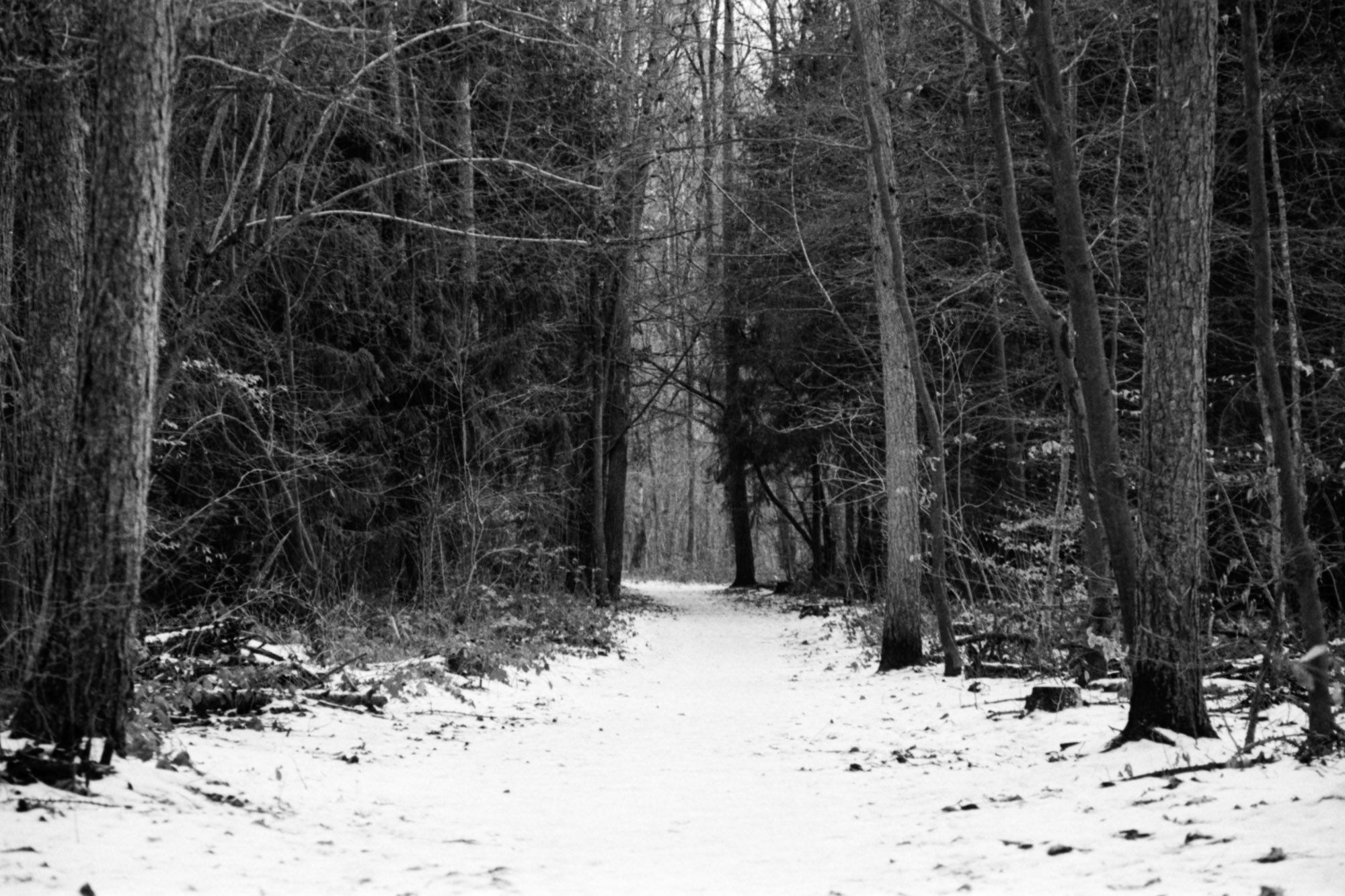 Verschneiter Waldweg.