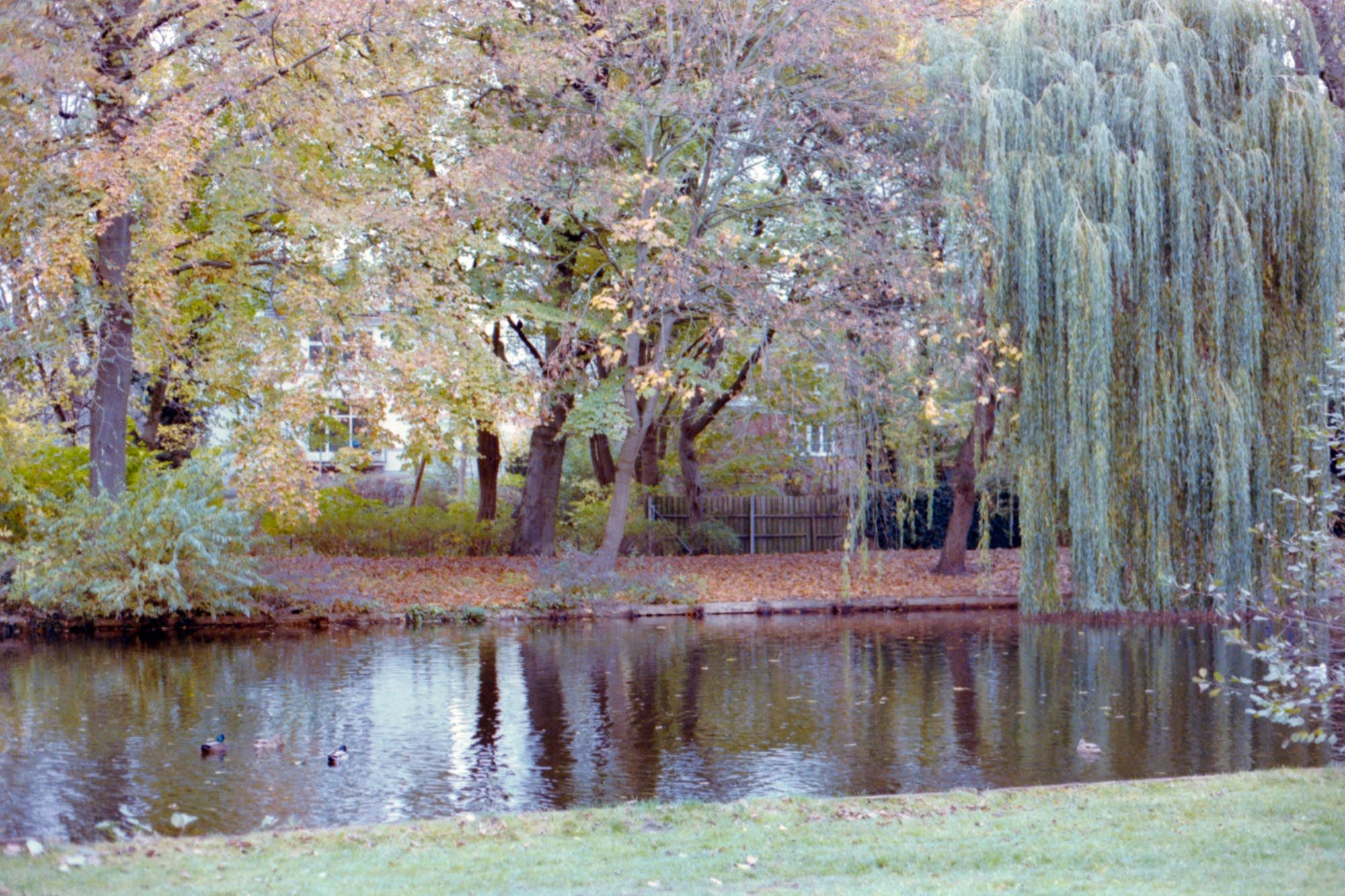 Lübeck - Krähenteich