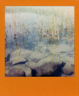 Lake view into the water.