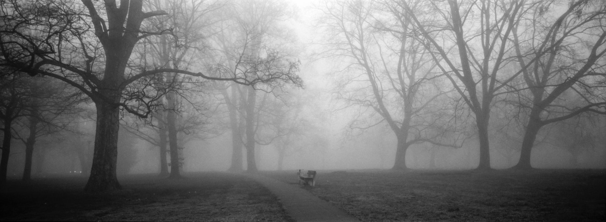 Parkbank im Nebel