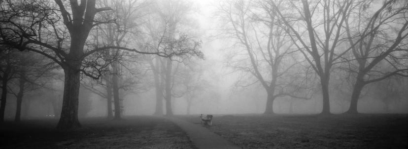 Can't see clearly when you're gone ... | Hasselblad XPan mit Ilford FP4+ Film und Blaufilter Parkbank im Nebel