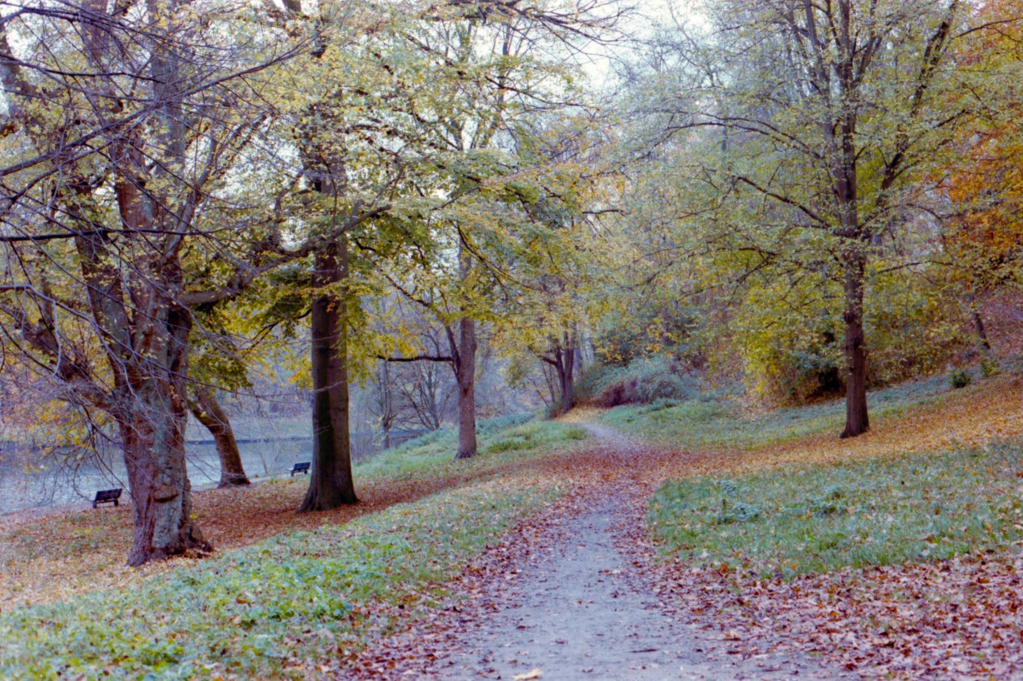 Lübeck Wallanlage | Kodak Gold 200 | Canon 50E