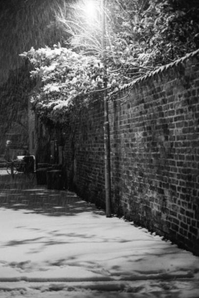 Snowfall in a street view. Snowfall in a street view.