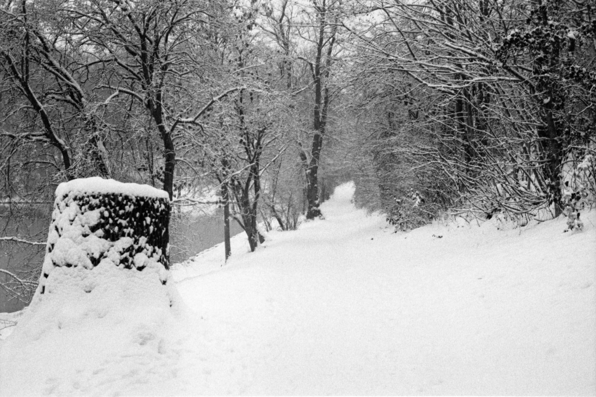 Schneebedeckter Pfad.