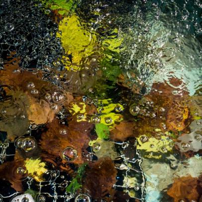 Liquid grounds Liquid grounds series, abstract view of a fountain ground.