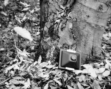 HARMAN TiTAN 4x5 pinhole camera Large format pinhole camera from HARMAN TiTAN