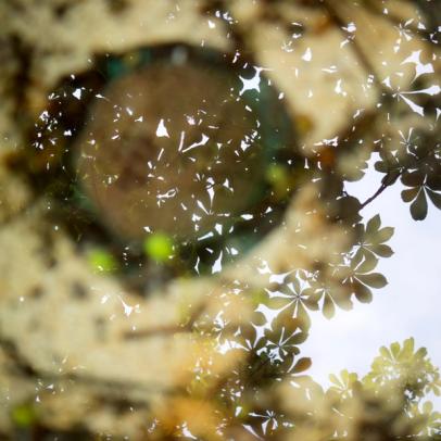 Liquid grounds Liquid grounds series, abstract view of water reflections.