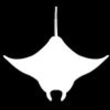 Eagle Ray Robotics