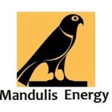 Mandulis Energy