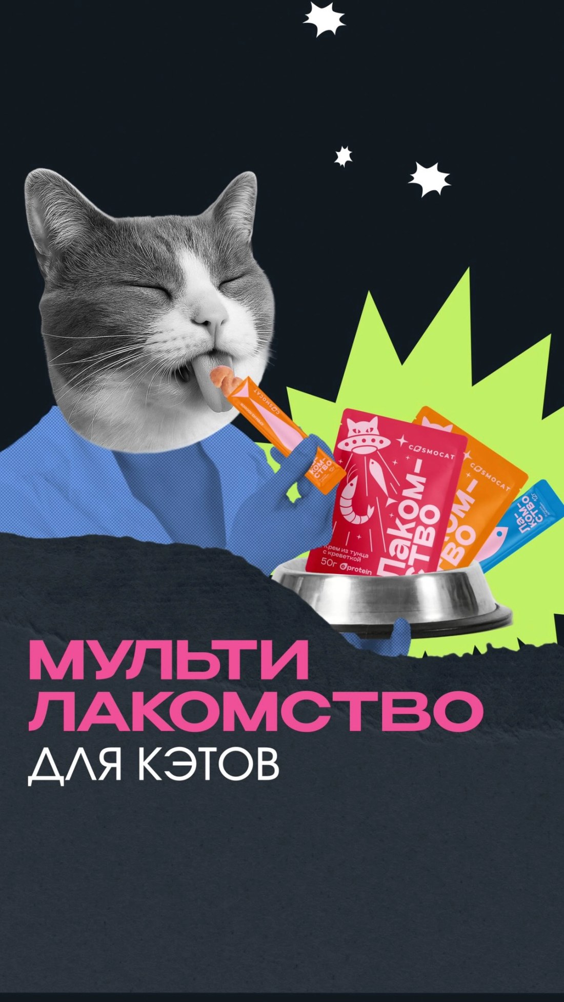 1 лакомство. 5 задач. Тысячи счастливых кэтов.