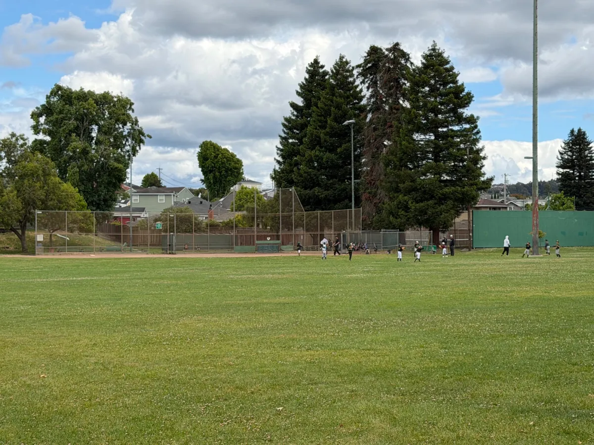 Baseball/soccer field area is very large