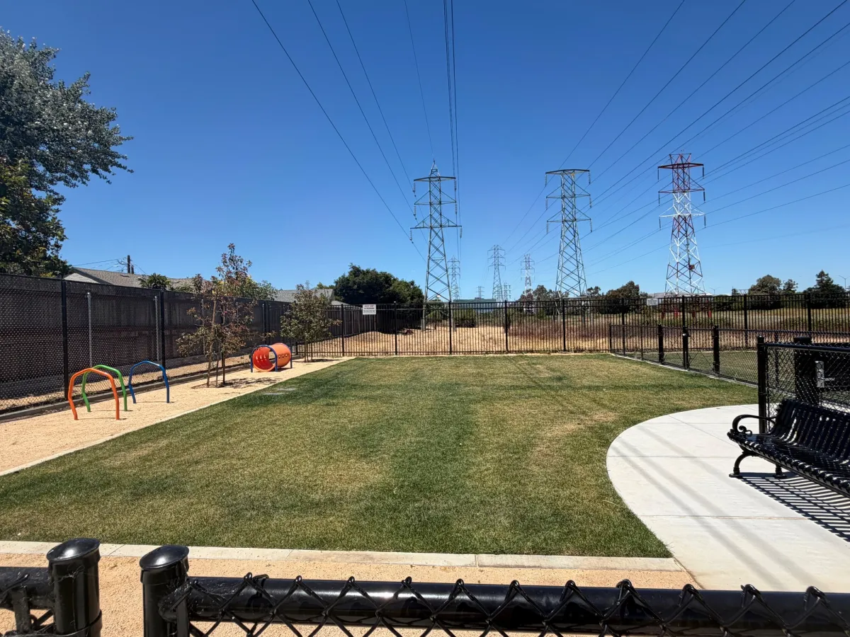 Dog park comes with tunnels and hoops to play with!