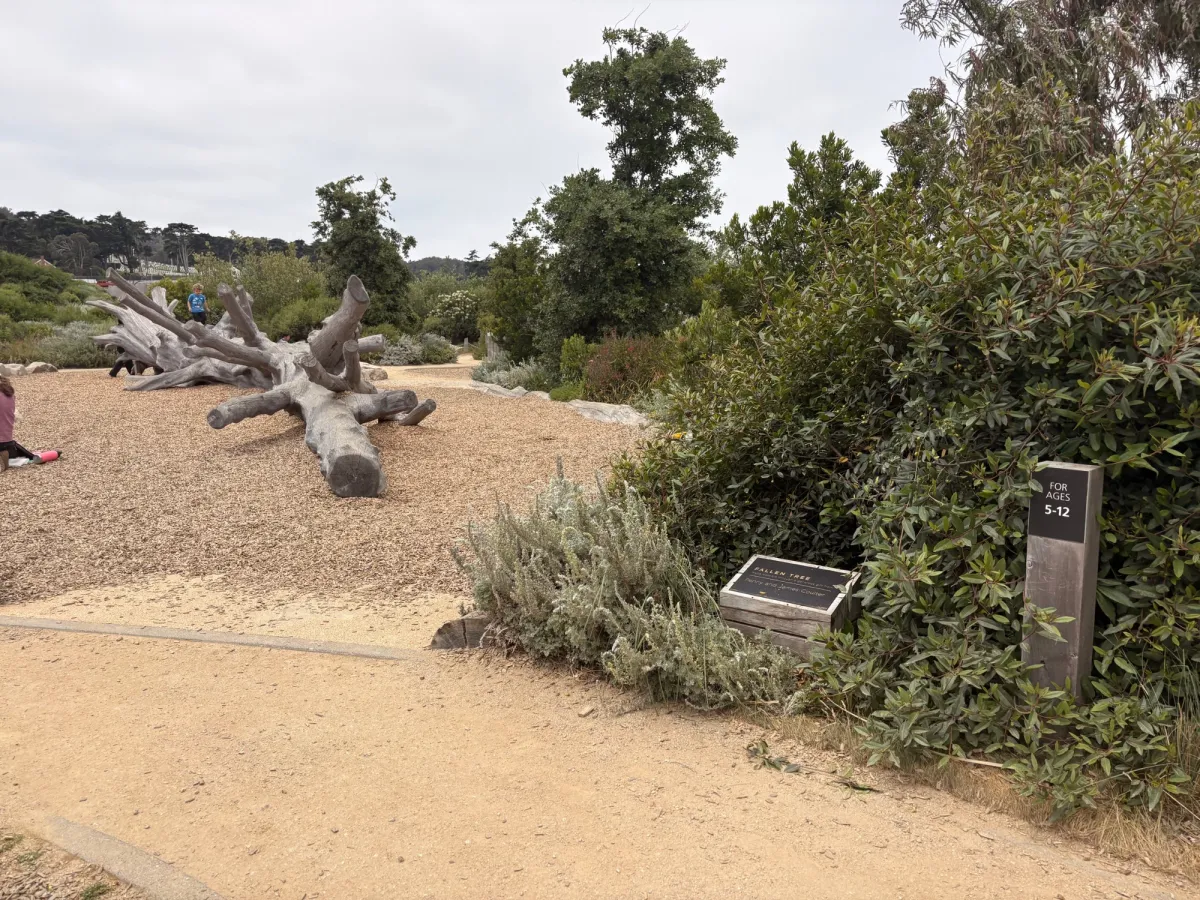 The fallen tree climbing structure