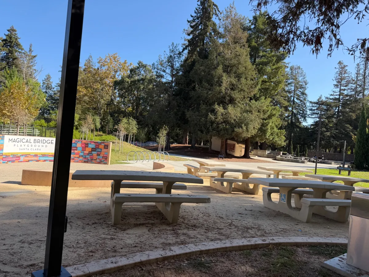 Picnic tables - multiple areas around the park