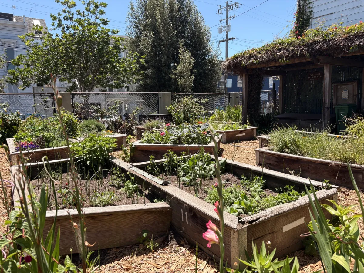 a cute community garden
