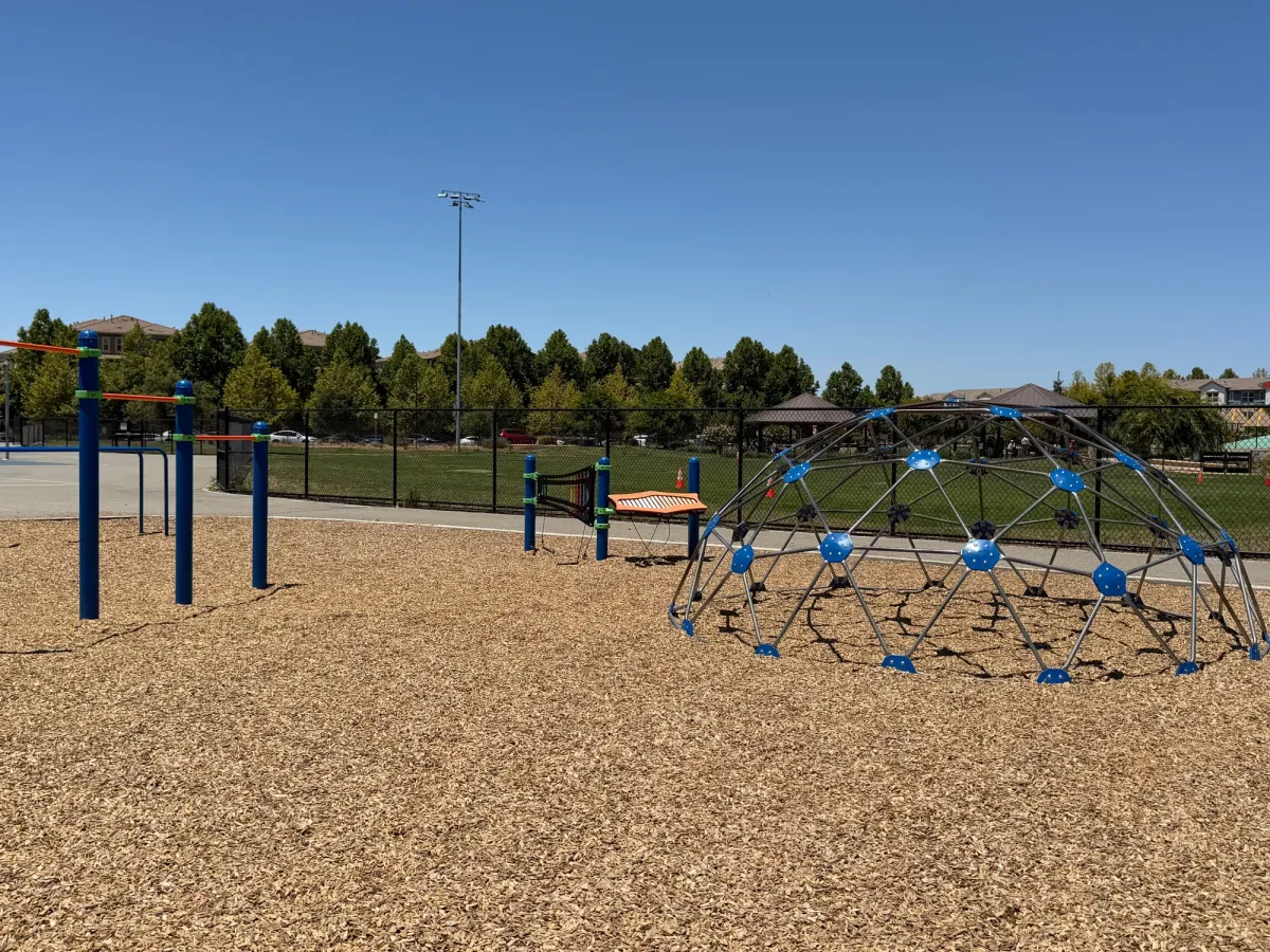 Climbing structure and monkey bars