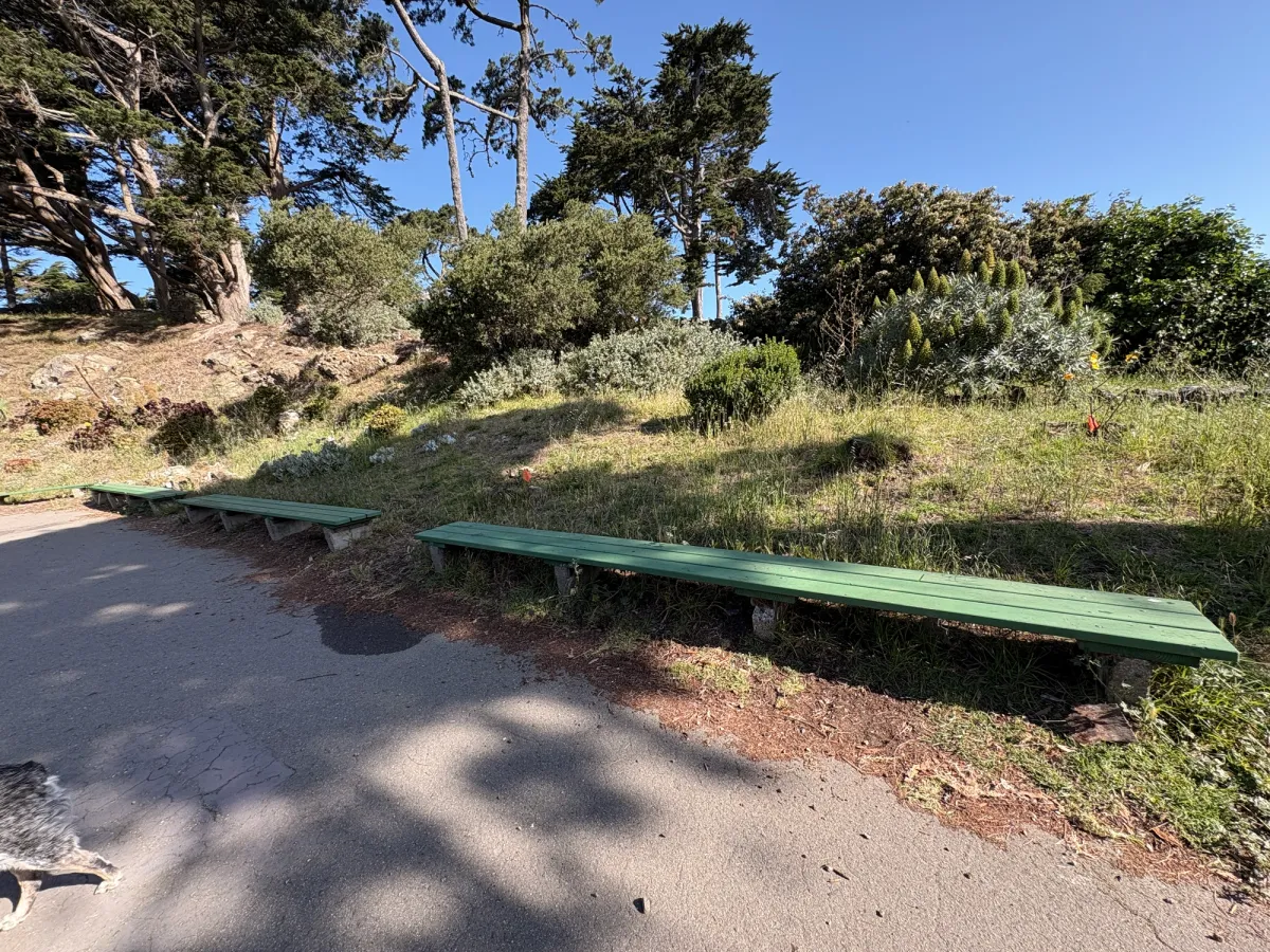 Benches for Flat area