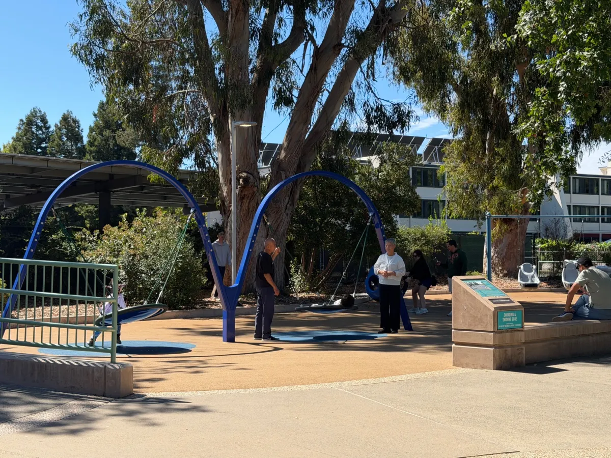 Saucer swings