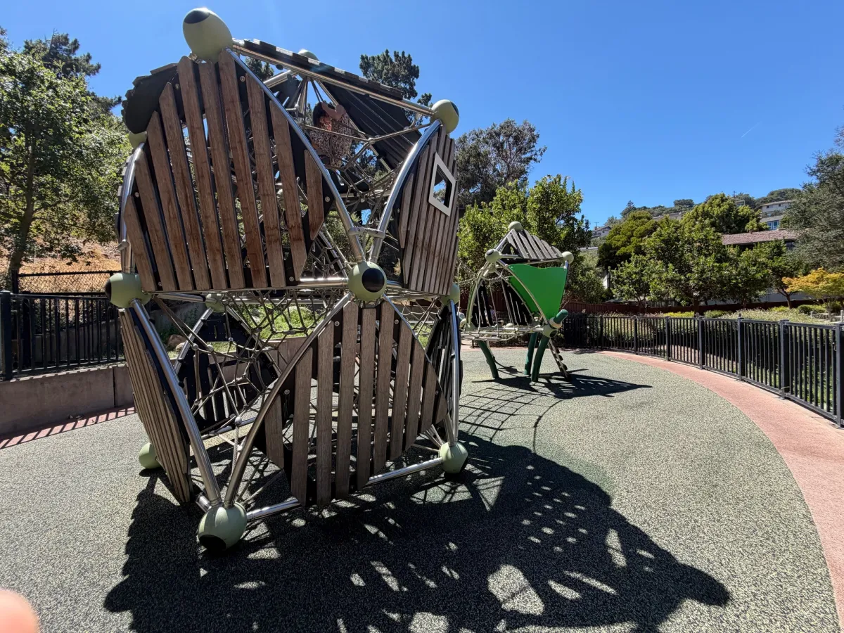 Back shot of play structure